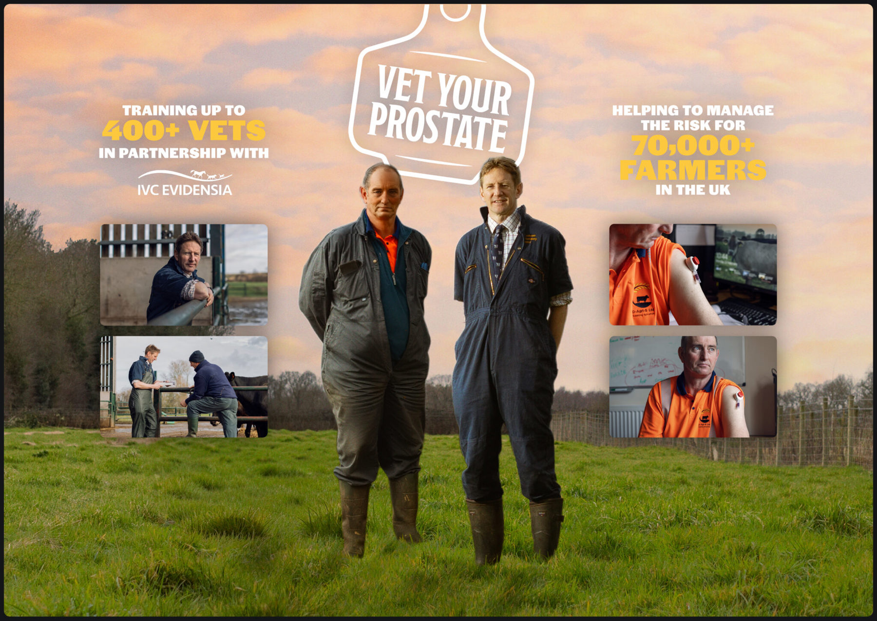 15012 Online Results Brochure Vet Your Prostate Boards Pmi V23 1 2048X1452