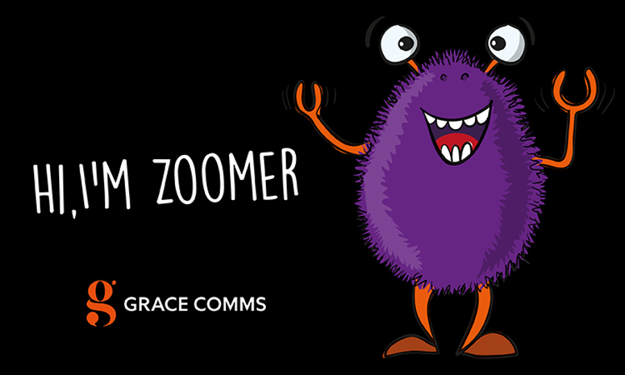 10603 Online Results Brochure Zoomer Visual