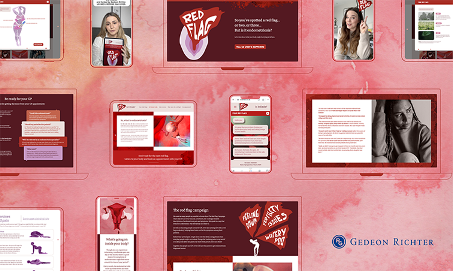 5115 Online Results Brochure Red Flag Online Results Brochure Image V2