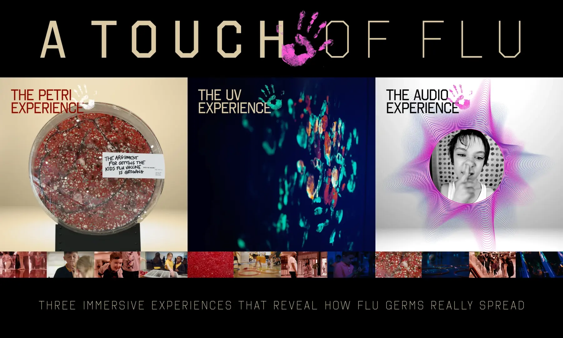 10065-A-Touch-Of-Flu-Project-poster.webp